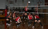 Volleyball VTL