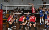 Volleyball VTL