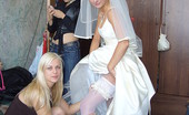 Bridal Pantyhose Stockings